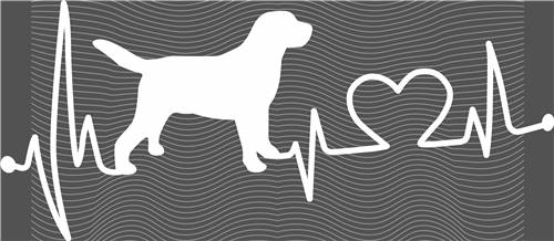 Best selling design-CX 2638